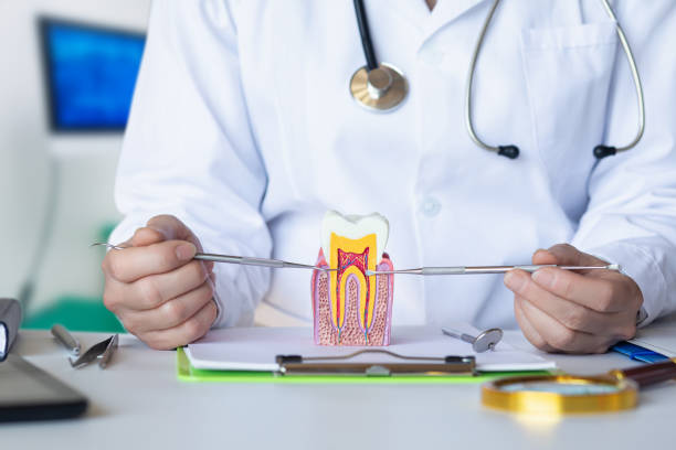 Best Emergency Treatment for Dental Infections or Abscesses in Sebewaing, MI